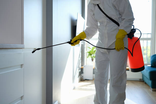 Mold Testing and Removal in Mcguire Af, NJ