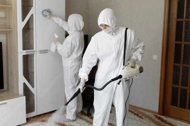 Best Mold Remediation Experts  in Mcguire Af, NJ