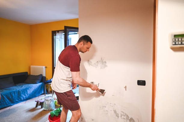 Best Certified Mold Removal  in Mcguire Af, NJ